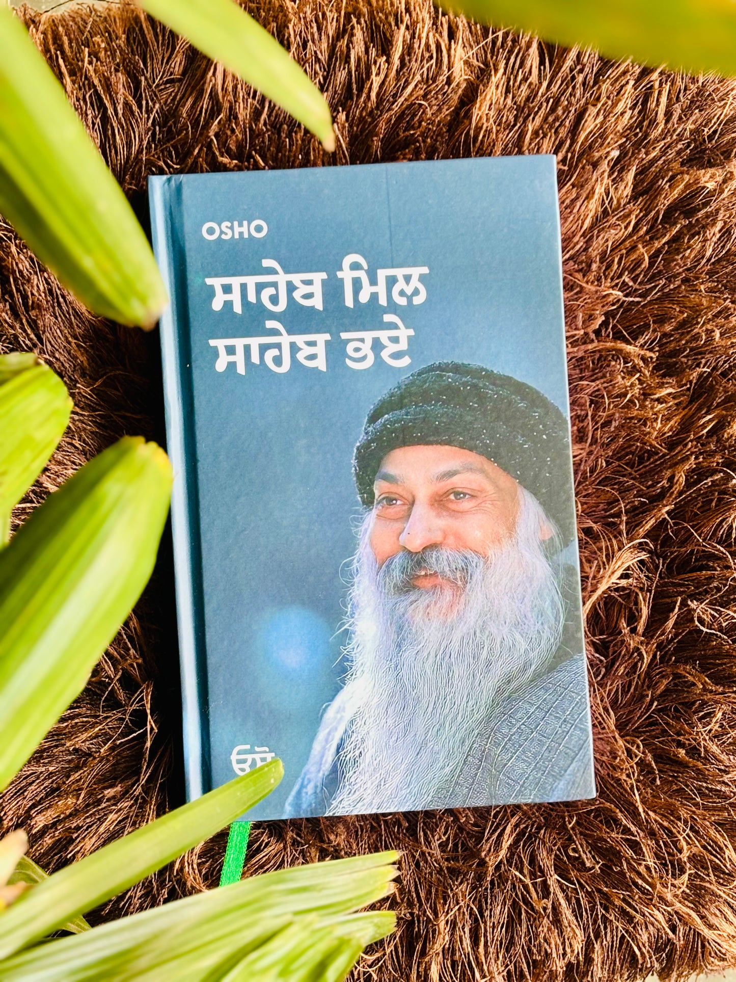 ਸਾਹੇਬ ਮਿਲ ਸਾਹੇਬ ਭਏ