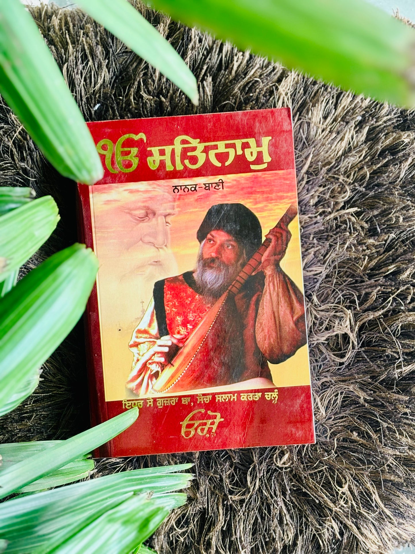 ੴ ਸਤਿਨਾਮੁ