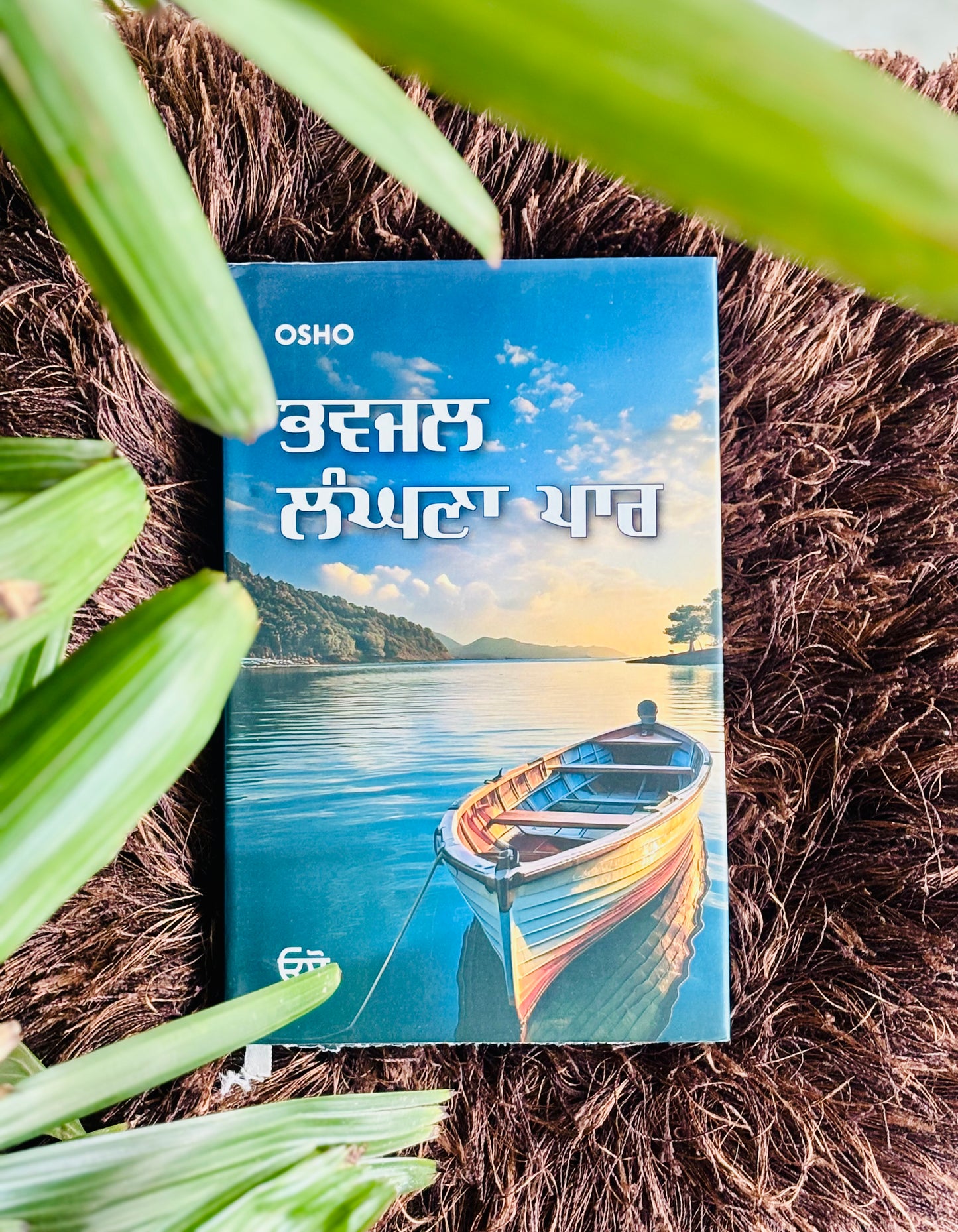 ਭਵਜਲ ਲੰਘਣਾ ਪਾਰ