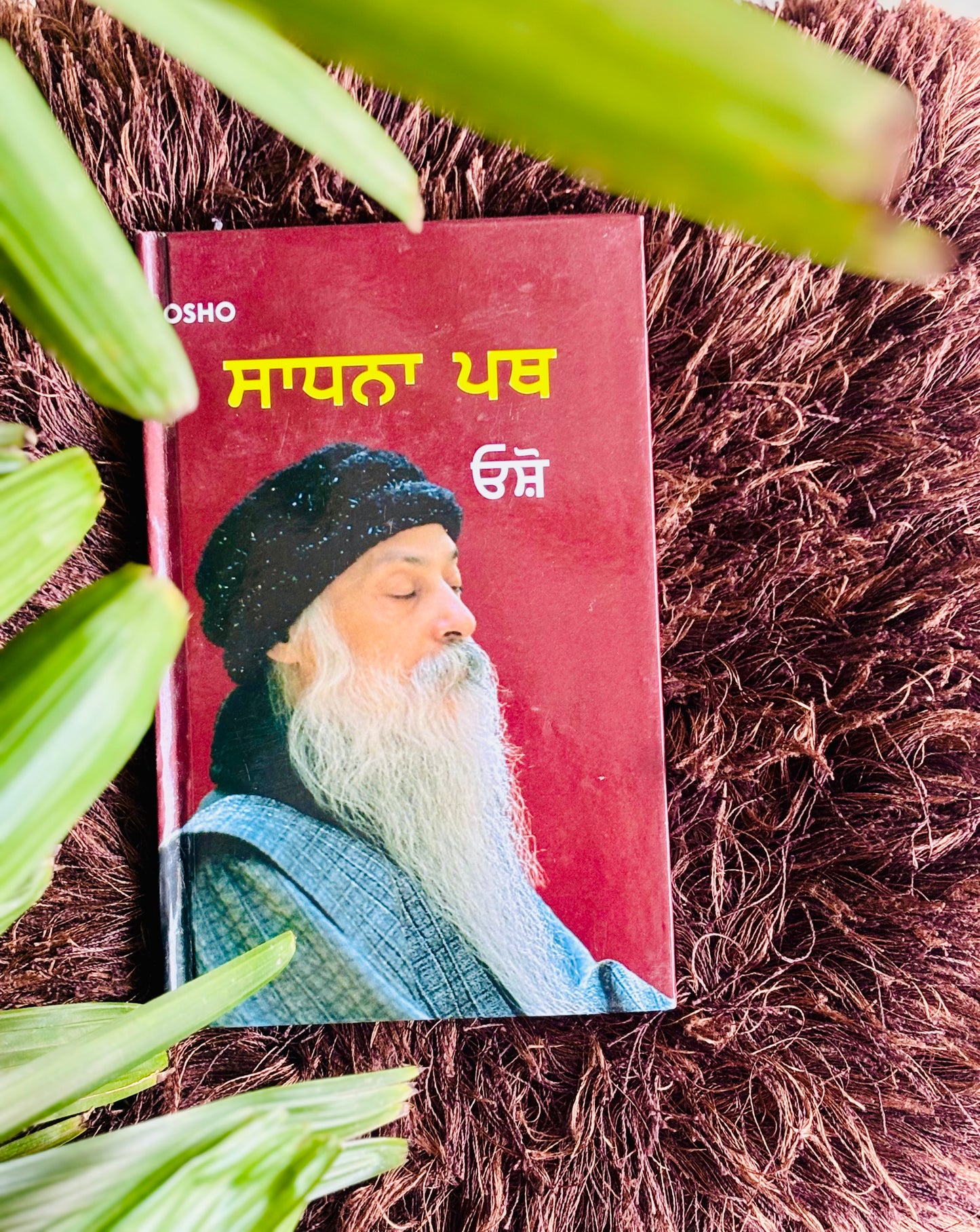 ਸਾਧਨਾ ਪਥ