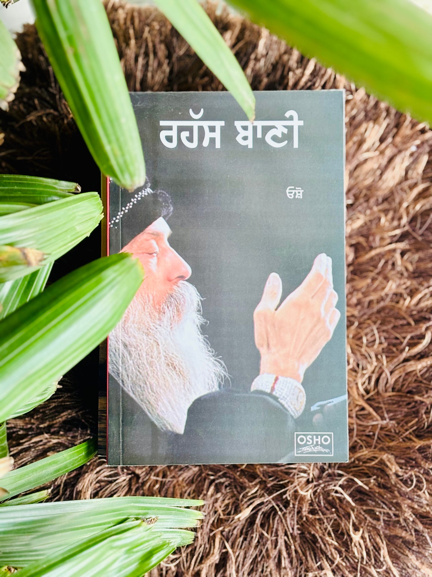 ਰਹੱਸ ਬਾਣੀ