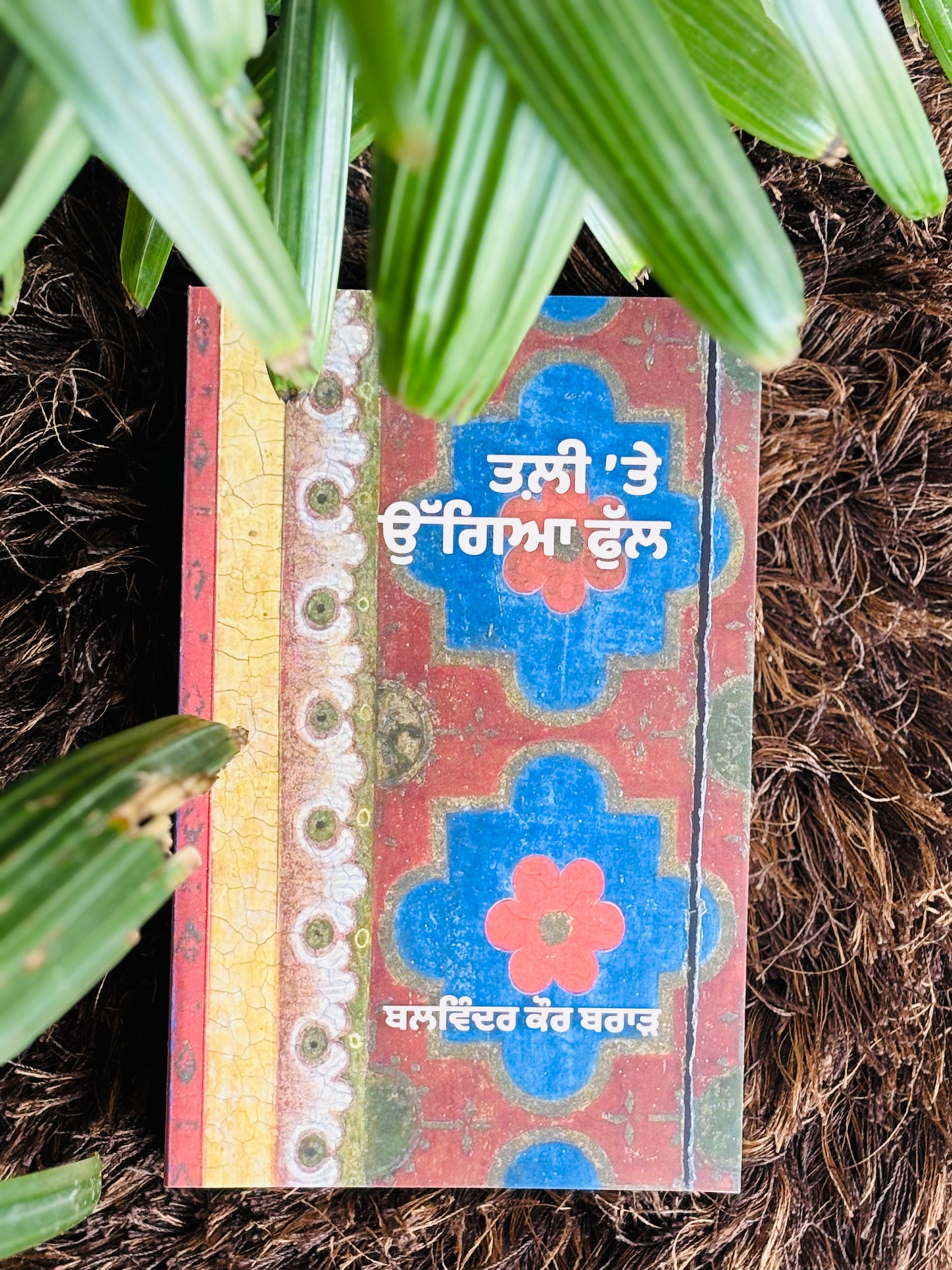 ਤਲ਼ੀ ਤੇ ਉੱਗਿਆ ਫੁੱਲ