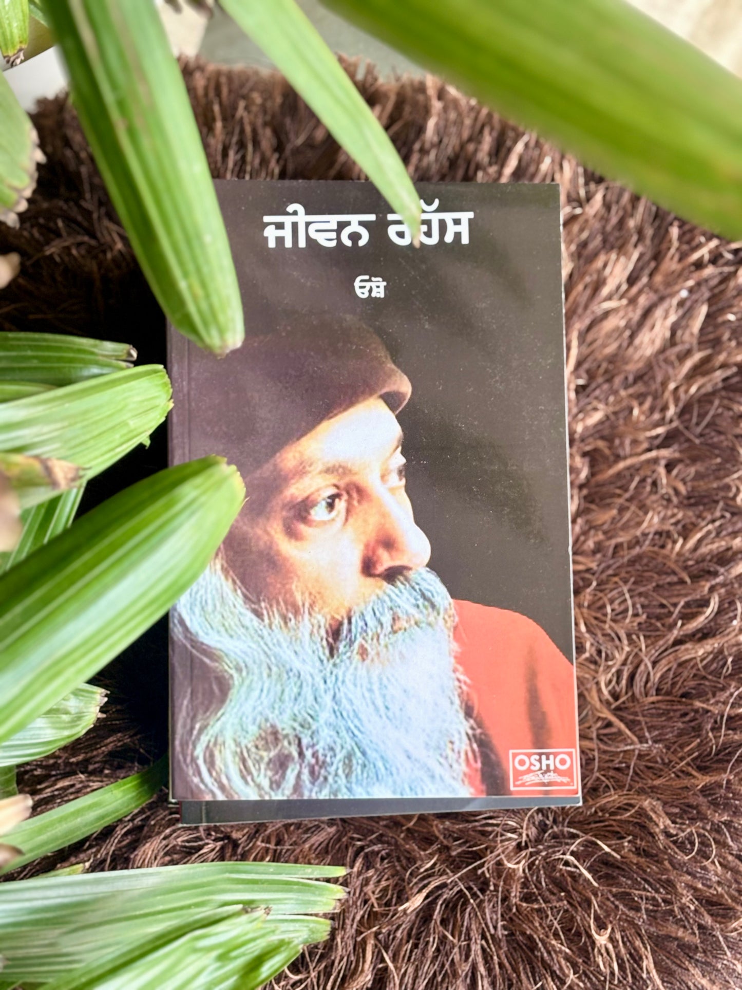 ਜੀਵਨ ਰਹੱਸ