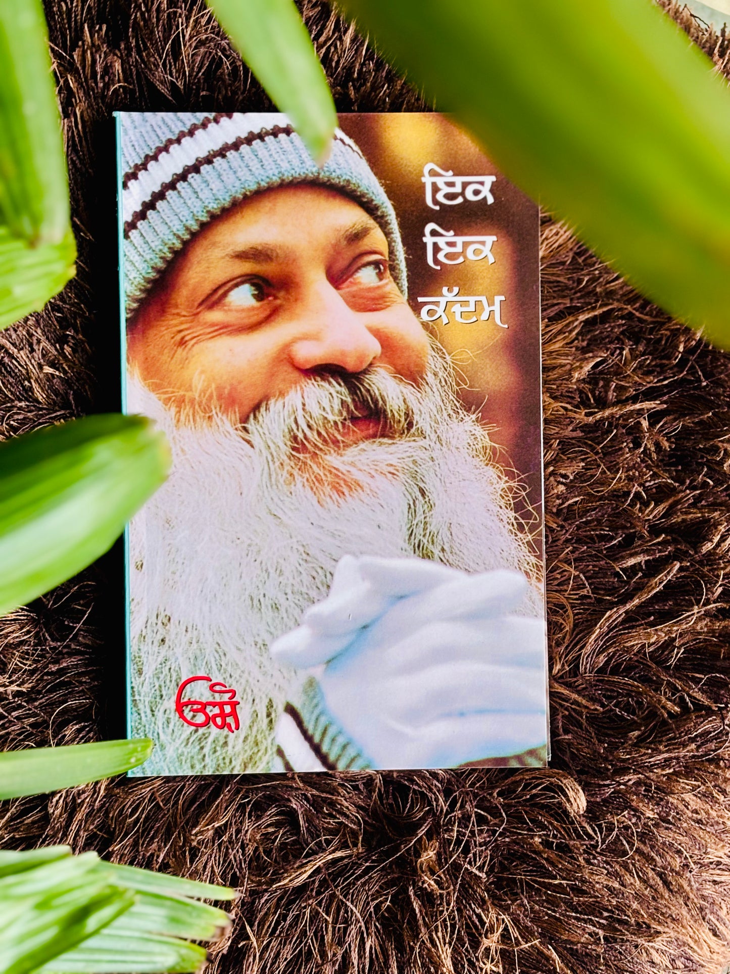 ਇੱਕ ਇੱਕ ਕਦਮ