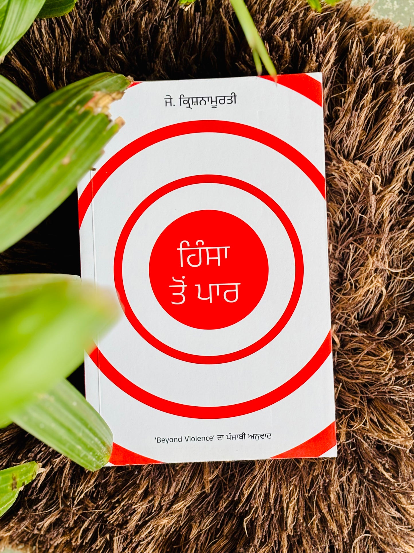 ਹਿੰਸਾ ਤੋਂ ਪਾਰ