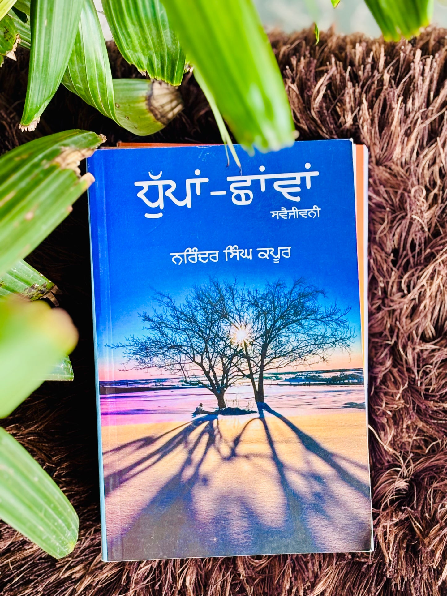 ਧੁੱਪਾਂ ਛਾਵਾਂ