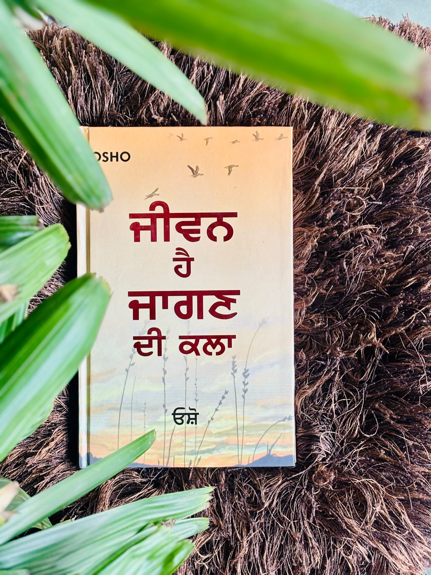 ਜੀਵਨ ਹੈ ਜਾਗਣ ਦੀ ਕਲਾ