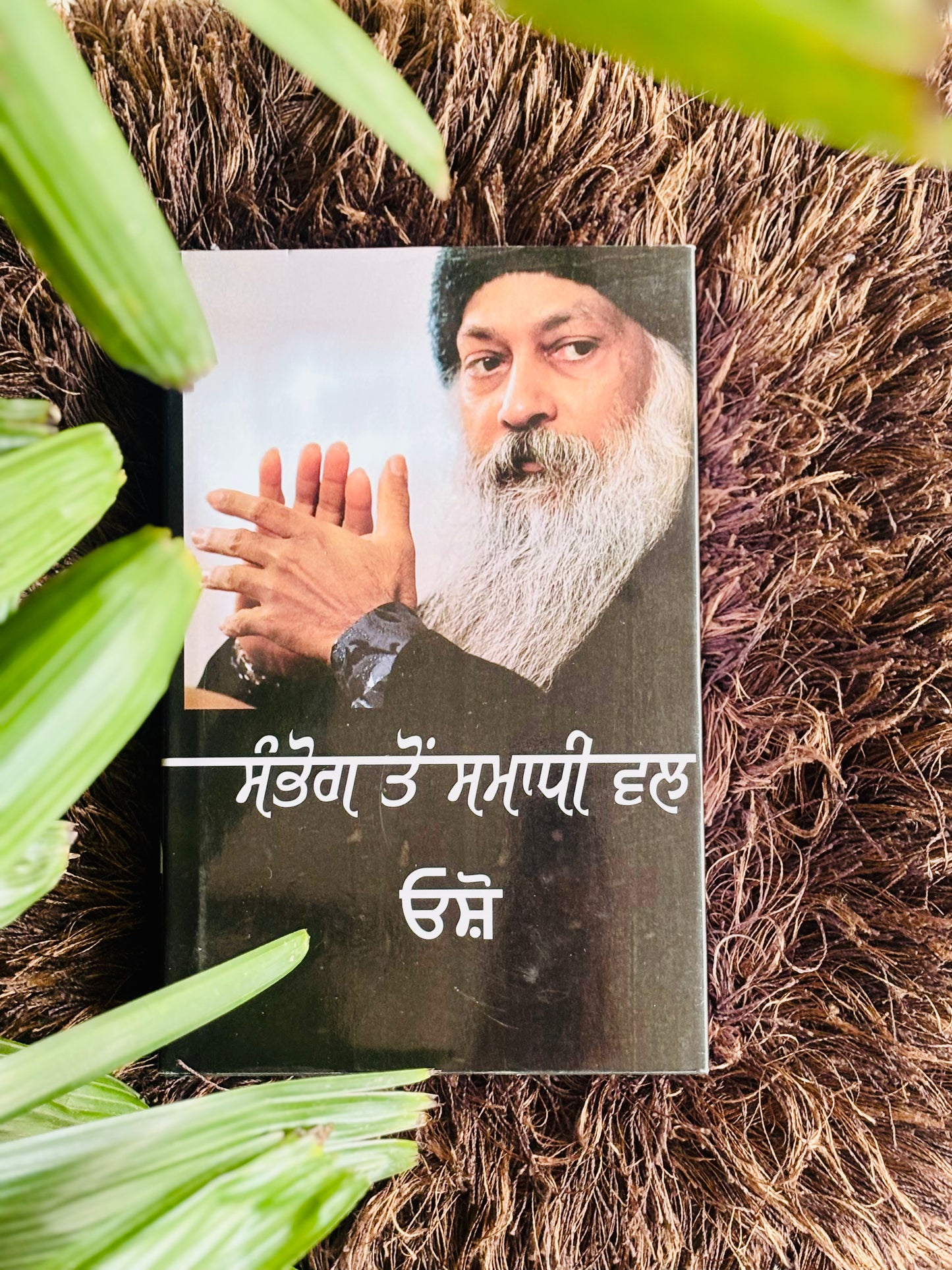 ਸੰਭੋਗ ਤੋਂ ਸਮਾਧੀ ਤੱਕ