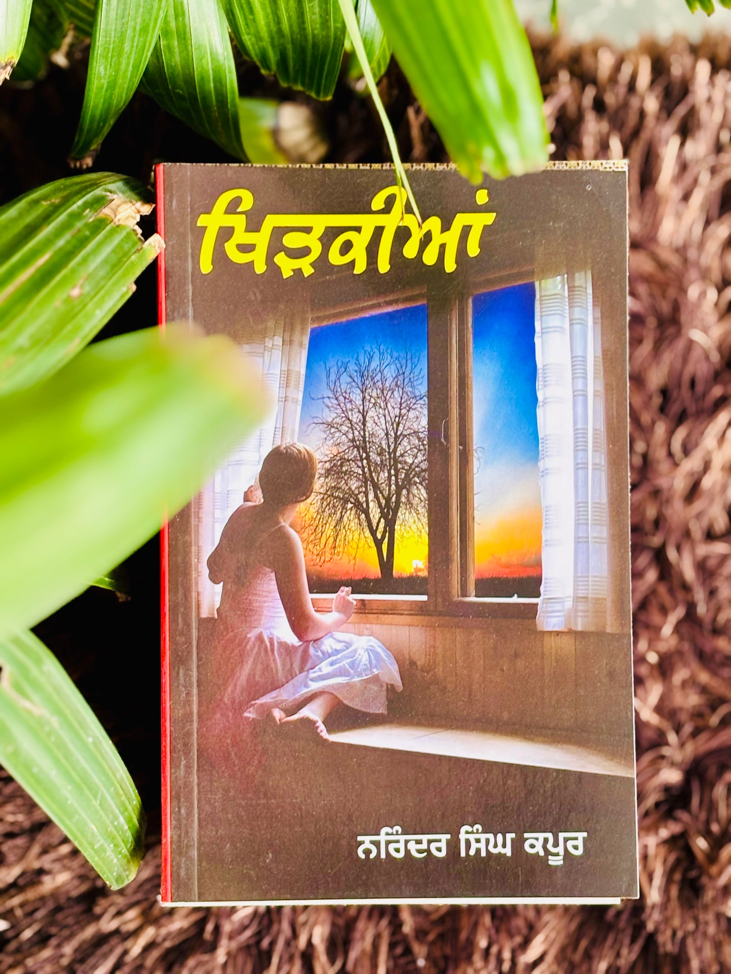 ਖਿੜਕੀਆਂ