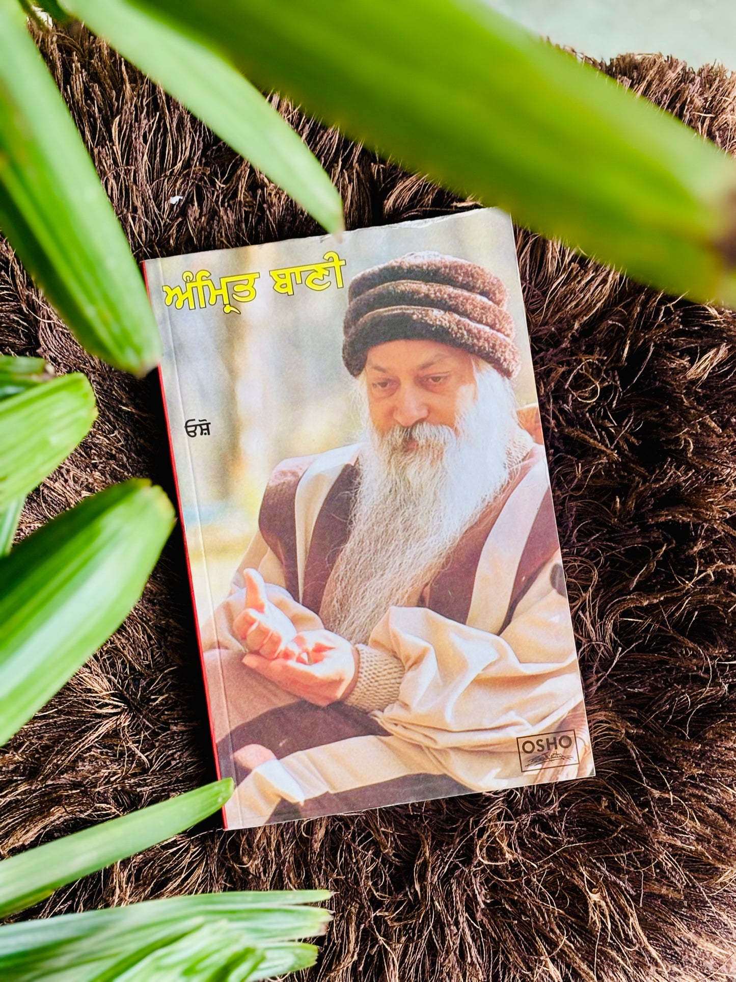 ਅੰਮ੍ਰਿਤ ਬਾਣੀ