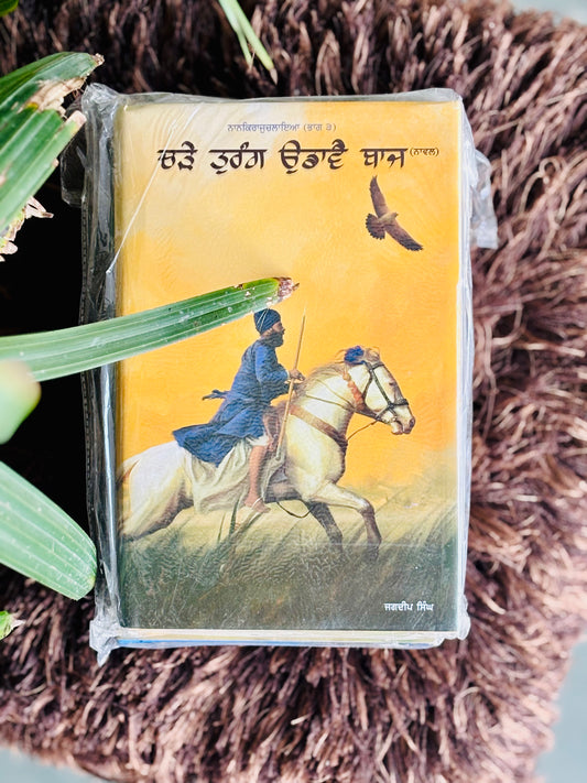 ਚੜੈ ਤੁਰੰਗ ਉਡਾਵੈ ਬਾਜ