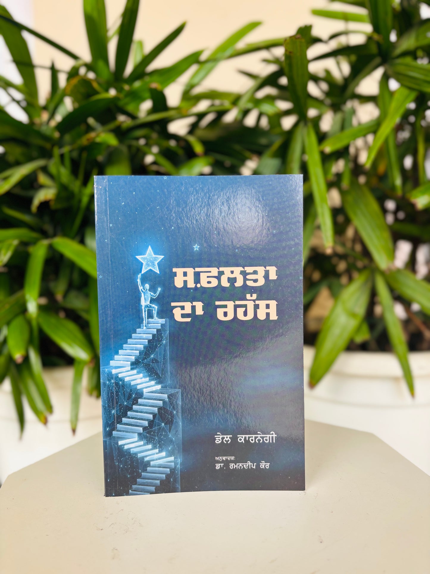 ਸਫ਼ਲਤਾ ਦਾ ਰਹੱਸ|SECRET OF SUCCESS