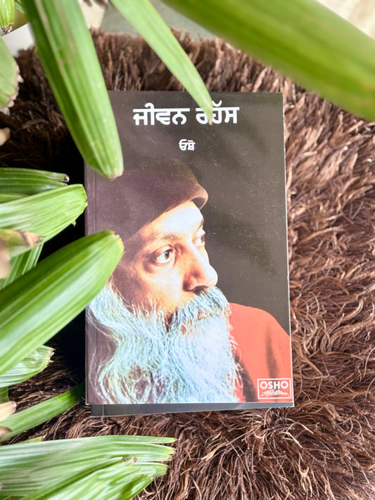 ਜੀਵਨ ਰਹੱਸ