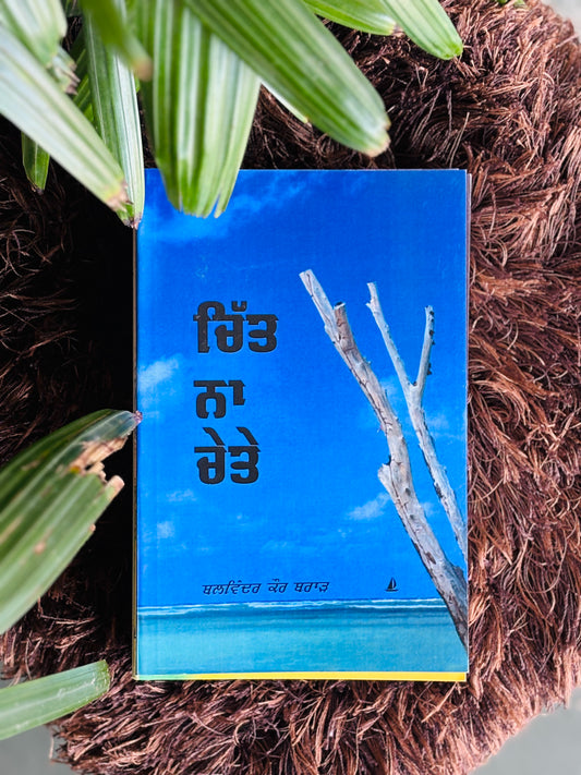 ਚਿੱਤ ਨਾ ਚੇਤੇ