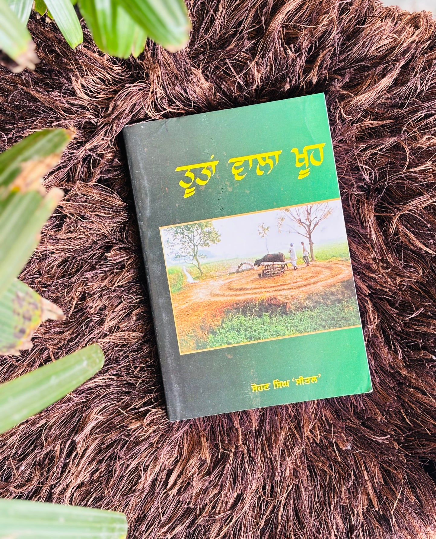 ਤੂਤਾਂ ਵਾਲਾ ਖੂਹ