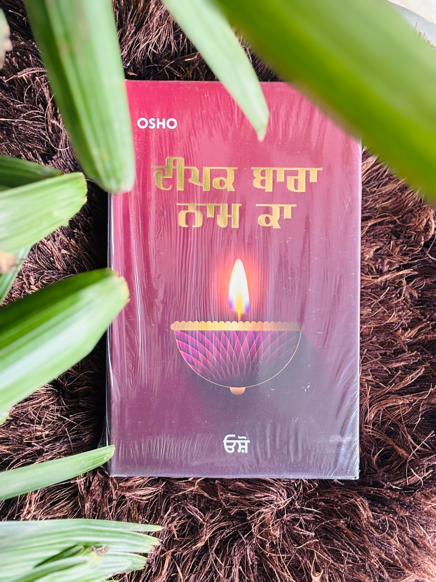 ਦੀਪਕ ਬਾਰਾ ਨਾਮ ਕਾ