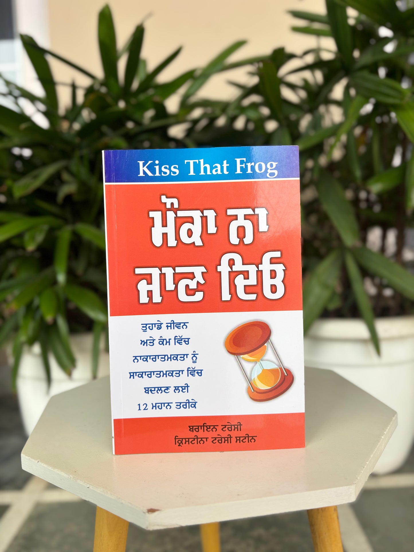 KISS THAT FROG|ਮੌਕਾ ਨਾ ਜਾਣ ਦਿਓ